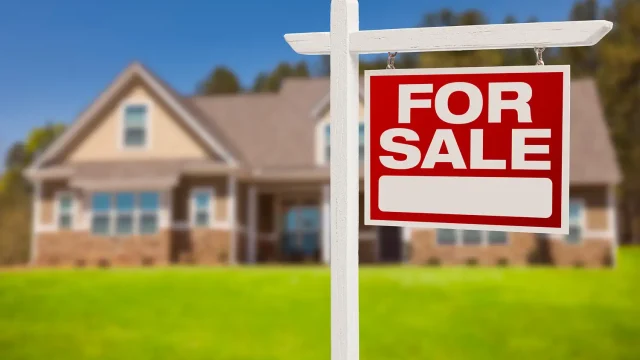 Real Estate and Property